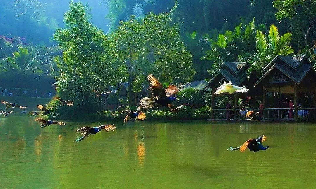 中东超热门展：2025年沙特利雅得美容美发展